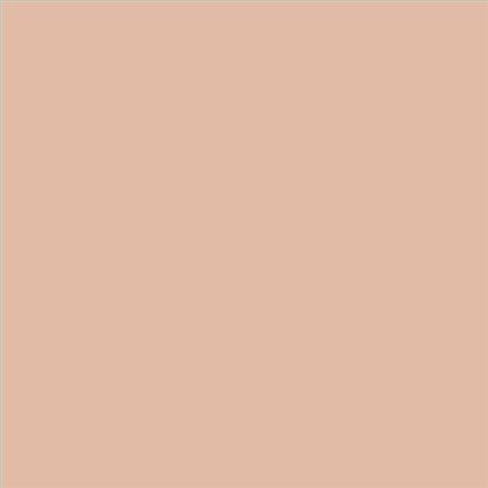 AQUALAC SATINADO ESMALTE AL AGUA (OFERTA) COLOR S 1515-Y60R
