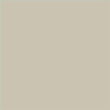 AQUALAC SATINADO ESMALTE AL AGUA (OFERTA) COLOR S 2005-Y10R