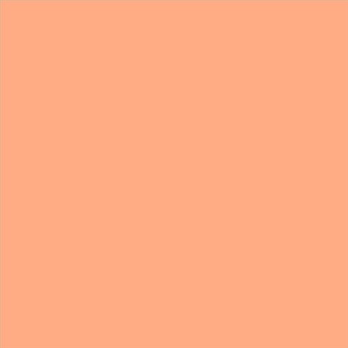 AQUALAC MATE ESMALTE AL AGUA (OFERTA) COLOR S 0540-Y60R