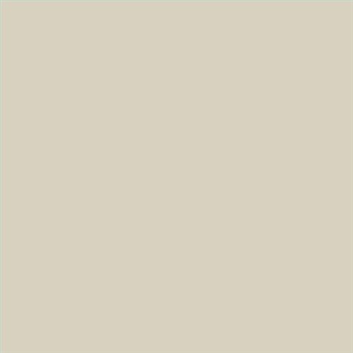 AQUALAC MATE ESMALTE AL AGUA (OFERTA) COLOR S 1505-Y10R
