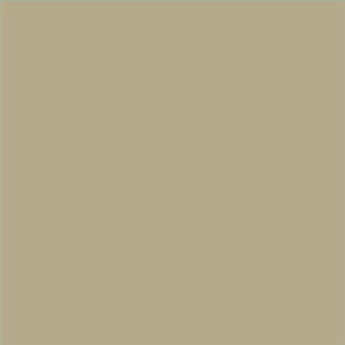 AQUALAC MATE ESMALTE AL AGUA (OFERTA) COLOR S 3010-Y