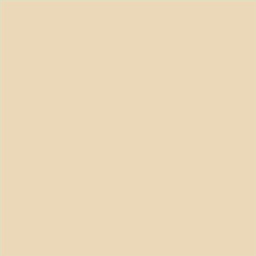 ESMALTE SINTETICO JUNOMALTE BRILLO (OFERTA) COLOR S 1010-Y20R