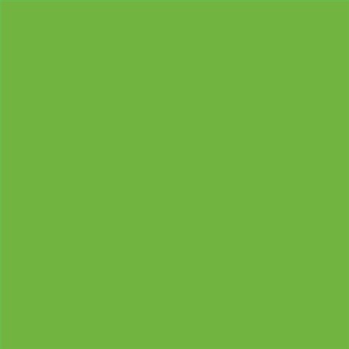ESMALTE SINTETICO JUNOMALTE BRILLO (OFERTA) COLOR S 1070-G30Y
