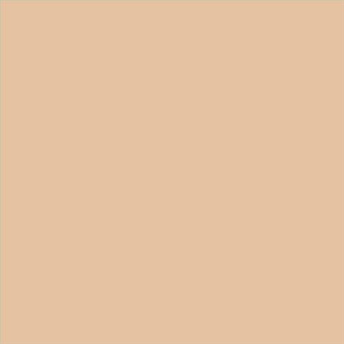 ESMALTE SINTETICO JUNOMALTE BRILLO (OFERTA) COLOR S 1515-Y40R