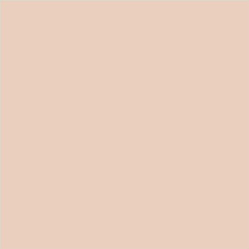 ESMALTE SINTETICO JUNOMALTE SATINADO (OFERTA) COLOR S 1010-Y60R