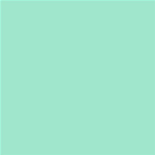 ESMALTE SINTETICO JUNOPLUS BRILLO (OFERTA) COLOR S 0530-B90G