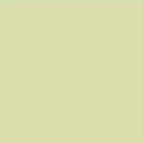 ESMALTE SINTETICO JUNOPLUS BRILLO (OFERTA) COLOR S 1020-G70Y