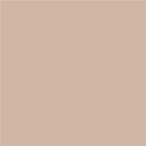 ESMALTE SINTETICO JUNOPLUS BRILLO (OFERTA) COLOR S 2010-Y60R