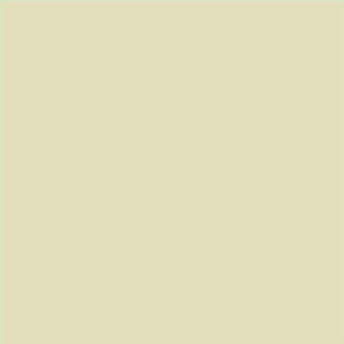 ESMALTE SINTETICO JUNOPLUS SATINADO (OFERTA) COLOR S 1010-G90Y