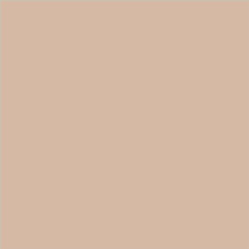 ESMALTE SINTETICO JUNOPLUS SATINADO (OFERTA) COLOR S 2010-Y50R