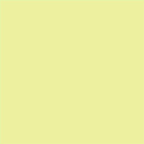 ESMALTE SINTETICO JUNOPLUS MATE (OFERTA) COLOR S 0530-G70Y