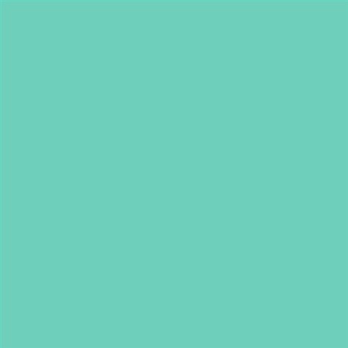 ESMALTE SINTETICO JUNOPLUS MATE (OFERTA) COLOR S 1040-B80G