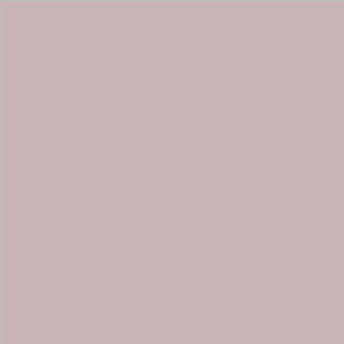 ESMALTE SINTETICO JUNOPLUS MATE (OFERTA) COLOR S 2010-R10B