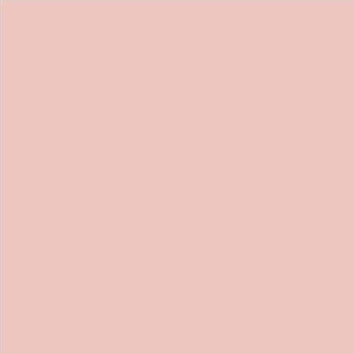 PINTURA PLASTICA FACHADAS BIKRIL SATINADO CALIDAD SUPERIOR (OFERTA) COLOR F110