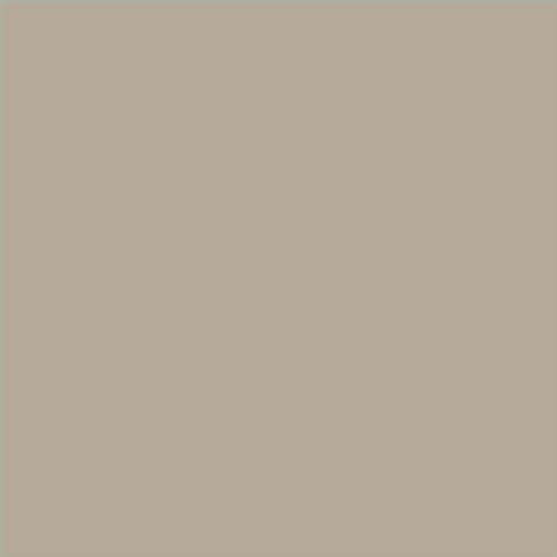 PINTURA PLASTICA FACHADAS BIKRIL SATINADO CALIDAD SUPERIOR (OFERTA) COLOR F606