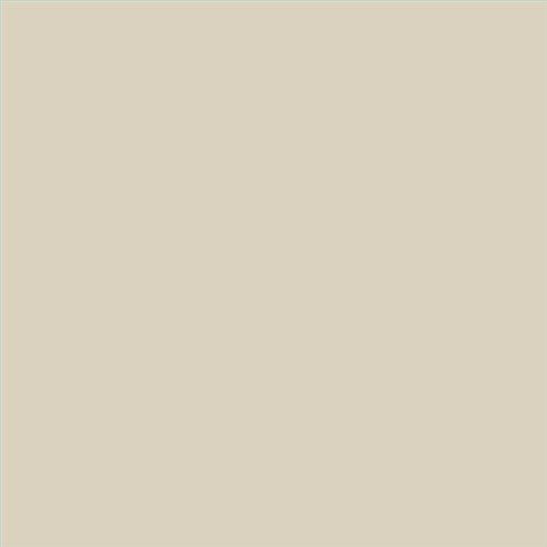 PINTURA PLASTICA FACHADAS BIKRIL SATINADO CALIDAD SUPERIOR (OFERTA) COLOR F608