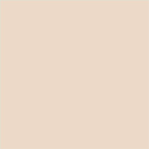 PINTURA PLASTICA FACHADAS JUNOKRIL MATE CALIDAD SUPERIOR (OFERTA) COLOR F211