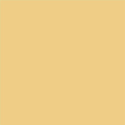 PINTURA PLASTICA FACHADAS JUNOKRIL SATINADO CALIDAD SUPERIOR (OFERTA) COLOR F406