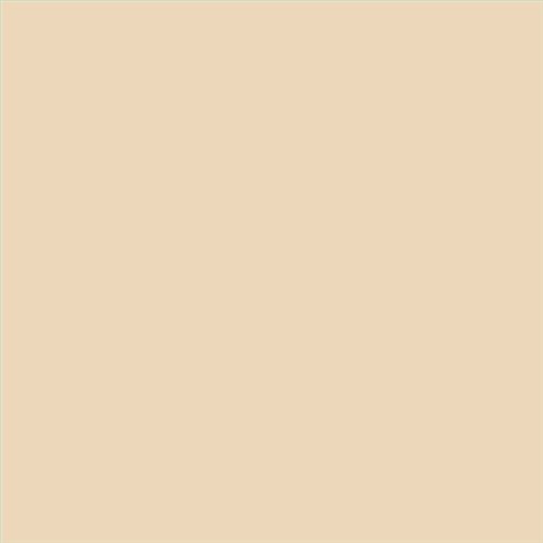 PINTURA PLASTICA FACHADAS JUNOKRIL MATE CALIDAD SUPERIOR (OFERTA) COLOR F210