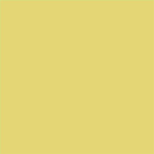 PINTURA PLASTICA FACHADAS JUNOKRIL MATE CALIDAD SUPERIOR (OFERTA) COLOR F516