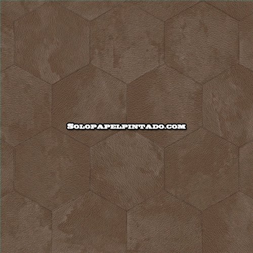 Rollo Papel Pintado PHILIPP PLEIN 2 Referencia  Z81024.