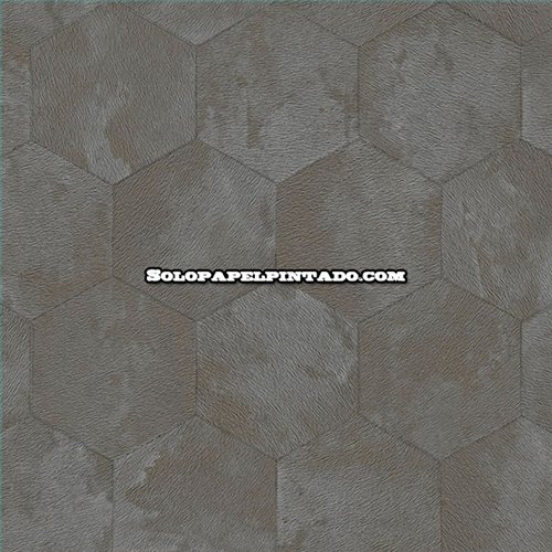 Rollo Papel Pintado PHILIPP PLEIN 2 Referencia  Z81027.