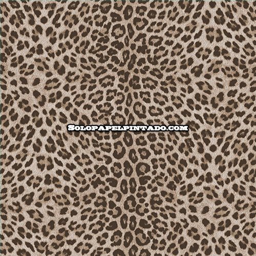 Rollo Papel Pintado PHILIPP PLEIN 2 Referencia  Z81028.