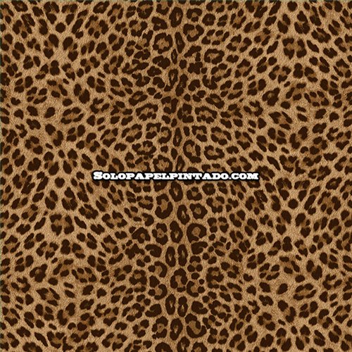 Rollo Papel Pintado PHILIPP PLEIN 2 Referencia  Z81029.