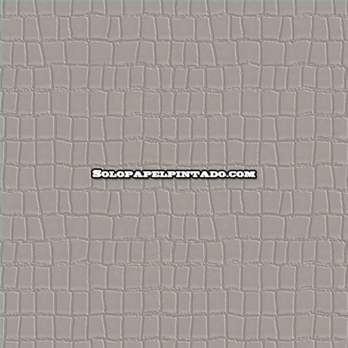 Rollo Papel Pintado PHILIPP PLEIN 2 Referencia  Z81036.
