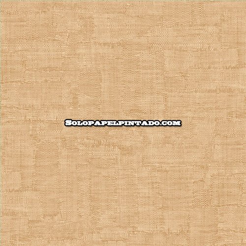Rollo Papel Pintado PHILIPP PLEIN 2 Referencia  Z81045.