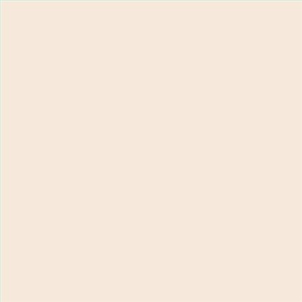 PINTURA PLASTICA MATE JUNOPROF CALIDAD SUPERIOR (OFERTA) COLOR CL 004