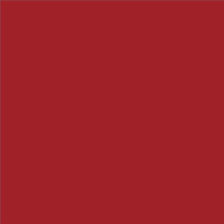 PINTURA PLASTICA MATE JUNOPROF CALIDAD SUPERIOR (OFERTA) COLOR RAL 3001