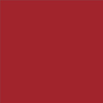 PINTURA PLASTICA MATE JUNOPROF CALIDAD SUPERIOR (OFERTA) COLOR RAL 3002