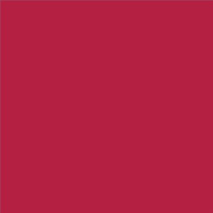 PINTURA PLASTICA MATE JUNOPROF CALIDAD SUPERIOR (OFERTA) COLOR RAL 3027