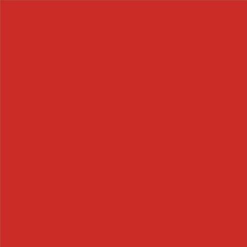 PINTURA PLASTICA MATE JUNOPROF CALIDAD SUPERIOR (OFERTA) COLOR RAL 3028