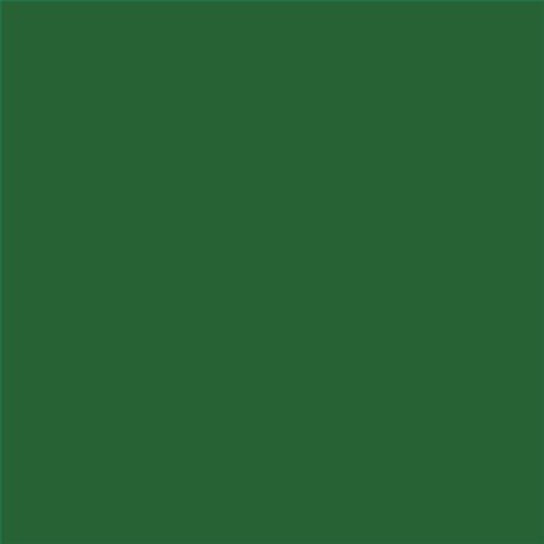 PINTURA PLASTICA MATE JUNOPROF CALIDAD SUPERIOR (OFERTA) COLOR RAL 6002