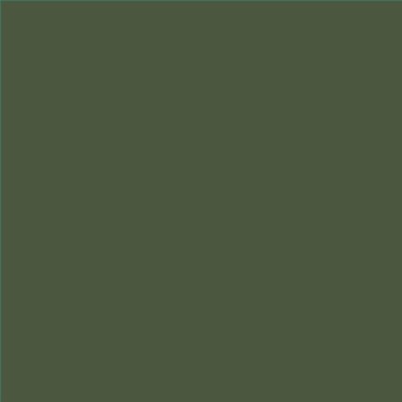 PINTURA PLASTICA MATE JUNOPROF CALIDAD SUPERIOR (OFERTA) COLOR RAL 6003