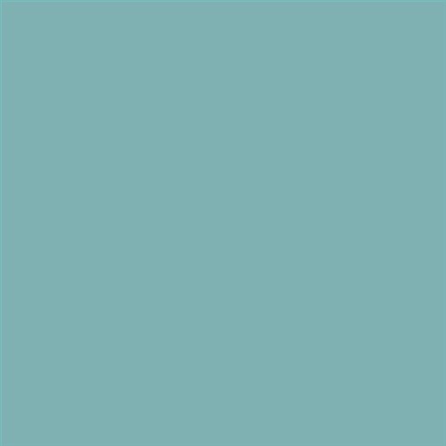PINTURA PLASTICA MATE JUNOPROF CALIDAD SUPERIOR (OFERTA) COLOR RAL 6034