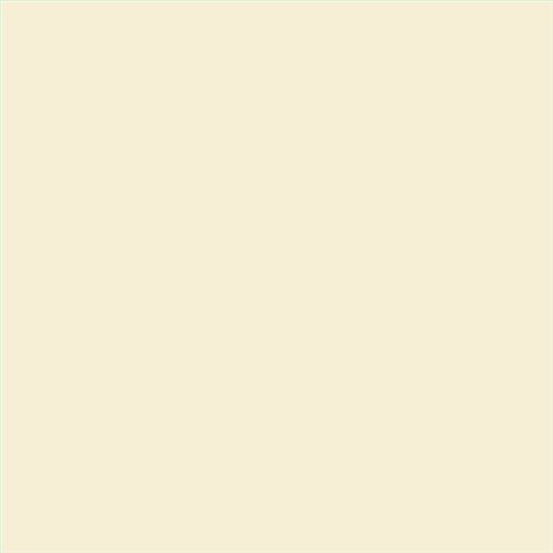 PINTURA PLASTICA MATE JUNOPROF CALIDAD SUPERIOR (OFERTA) COLOR S 0505-Y20R