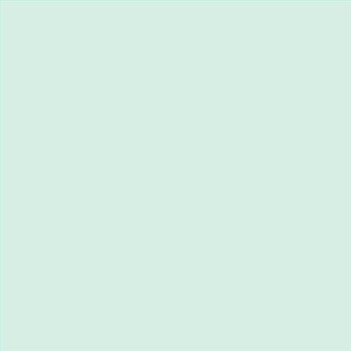 PINTURA PLASTICA MATE JUNOPROF CALIDAD SUPERIOR (OFERTA) COLOR S 0510-B90G