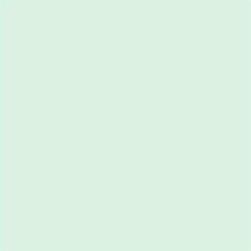 PINTURA PLASTICA MATE JUNOPROF CALIDAD SUPERIOR (OFERTA) COLOR S 0510-G