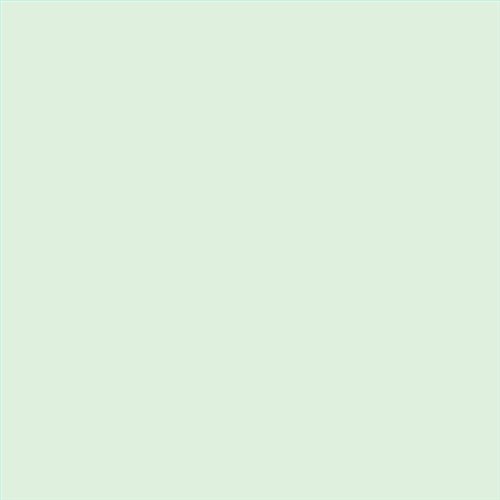 PINTURA PLASTICA MATE JUNOPROF CALIDAD SUPERIOR (OFERTA) COLOR S 0510-G10Y