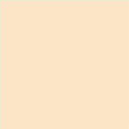 PINTURA PLASTICA MATE JUNOPROF CALIDAD SUPERIOR (OFERTA) COLOR S 0510-Y30R