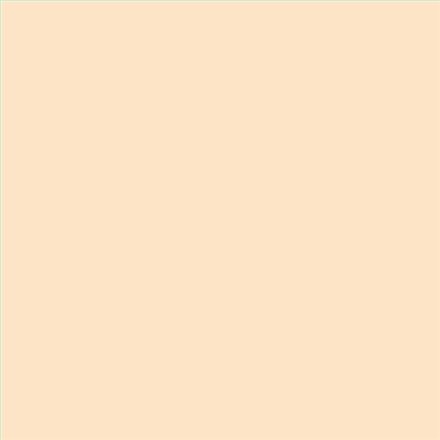 PINTURA PLASTICA MATE JUNOPROF CALIDAD SUPERIOR (OFERTA) COLOR S 0510-Y40R