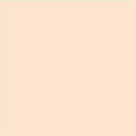 PINTURA PLASTICA MATE JUNOPROF CALIDAD SUPERIOR (OFERTA) COLOR S 0510-Y50R