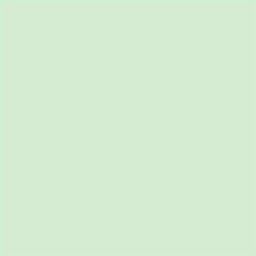 PINTURA PLASTICA MATE JUNOPROF CALIDAD SUPERIOR (OFERTA) COLOR S 0515-G20Y