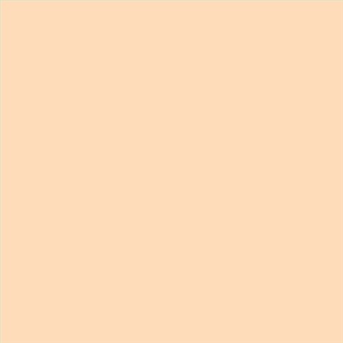 PINTURA PLASTICA MATE JUNOPROF CALIDAD SUPERIOR (OFERTA) COLOR S 0515-Y40R