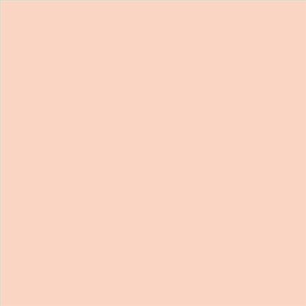 PINTURA PLASTICA MATE JUNOPROF CALIDAD SUPERIOR (OFERTA) COLOR S 0515-Y70R