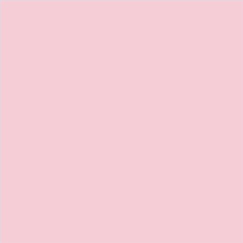 PINTURA PLASTICA MATE JUNOPROF CALIDAD SUPERIOR (OFERTA) COLOR S 0520-R20B