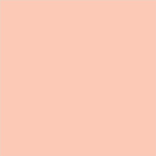 PINTURA PLASTICA MATE JUNOPROF CALIDAD SUPERIOR (OFERTA) COLOR S 0520-Y70R
